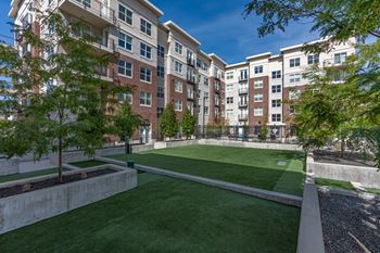 Grassy area in front